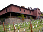 The Skywalker Sound building is a functioning Vineyard